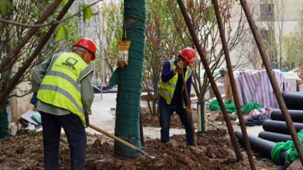 1694052821121760.jpg 圖片 15.JPG